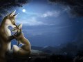 the_ballad_of_midnight_by_tanidareal-d5qnjzo.jpg